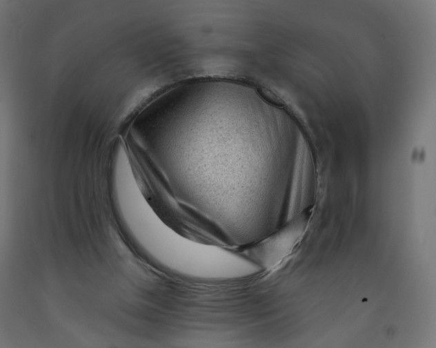 X0000091900154200710031829