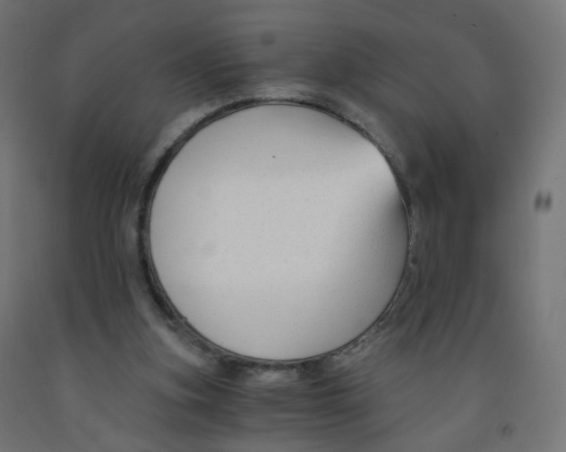 X0000091900155200710031829