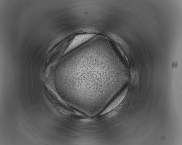 X0000091900158200710031829