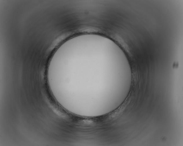 X0000091900159200710031829