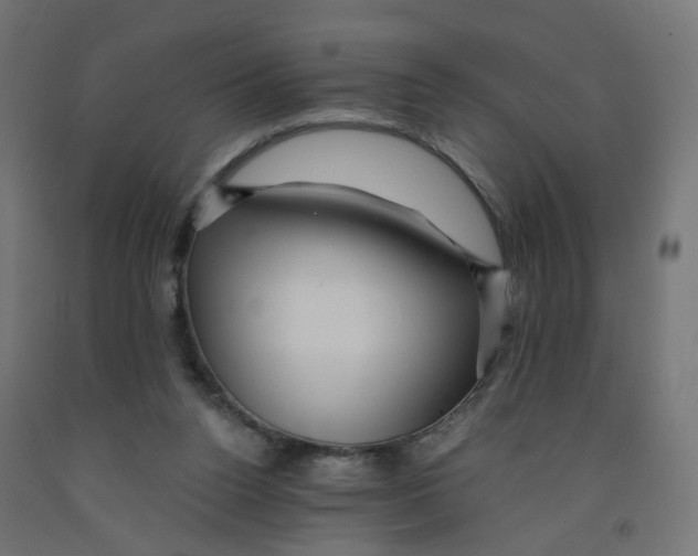 X0000091900160200710031829