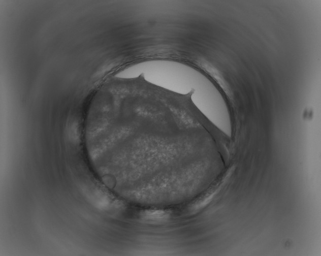 X0000091900161200710031829