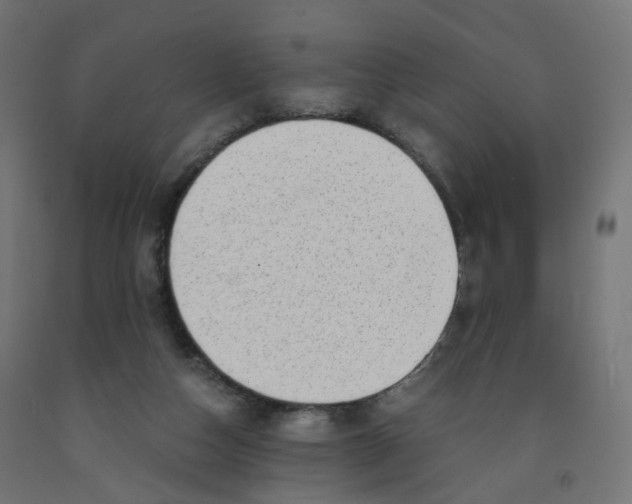 X0000091900162200710031829