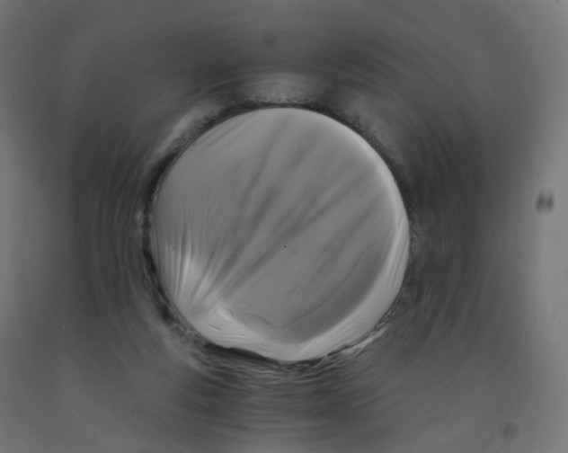 X0000091900163200710031829