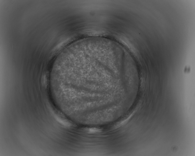 X0000091900165200710031829