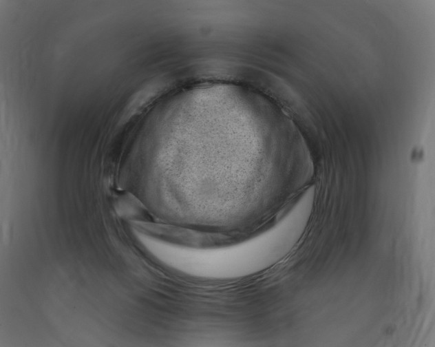 X0000091900168200710031829