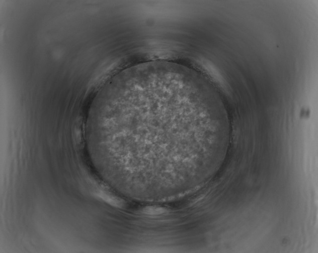 X0000091900169200710031829