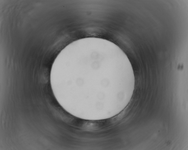 X0000091900174200710031829