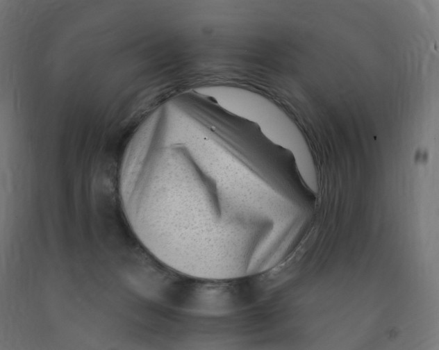 X0000091900175200710031829