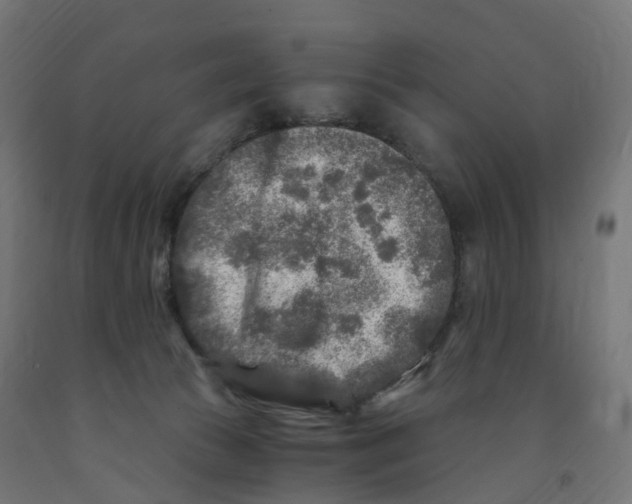 X0000091900177200710031829