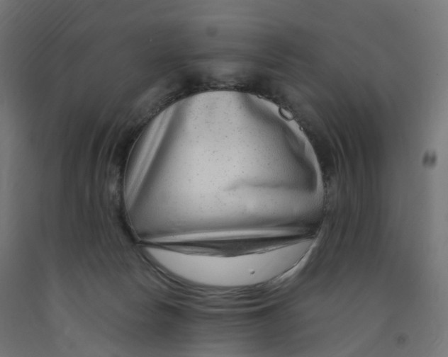 X0000091900178200710031829