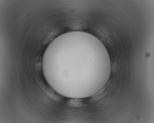 X0000091900179200710031829