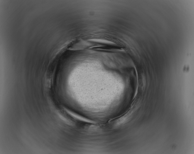 X0000091900180200710031829