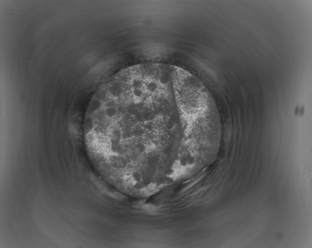 X0000091900181200710031829