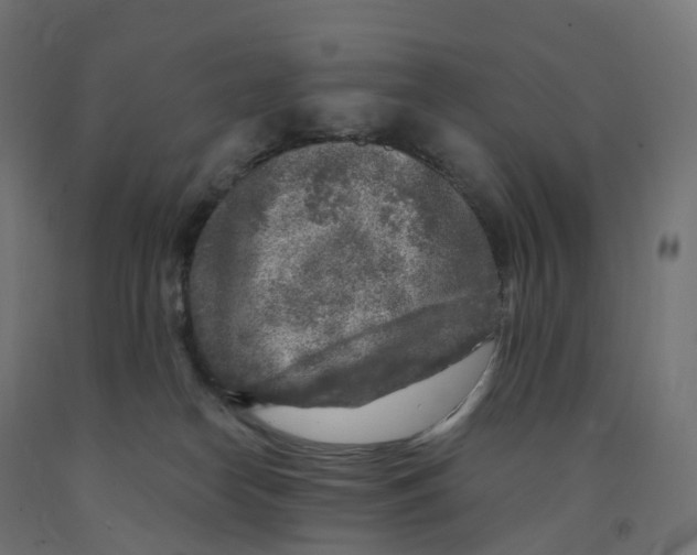 X0000091900182200710031829