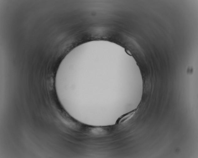 X0000091900183200710031829