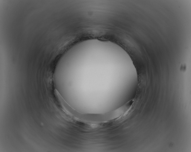 X0000091900184200710031829