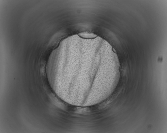 X0000091900185200710031829