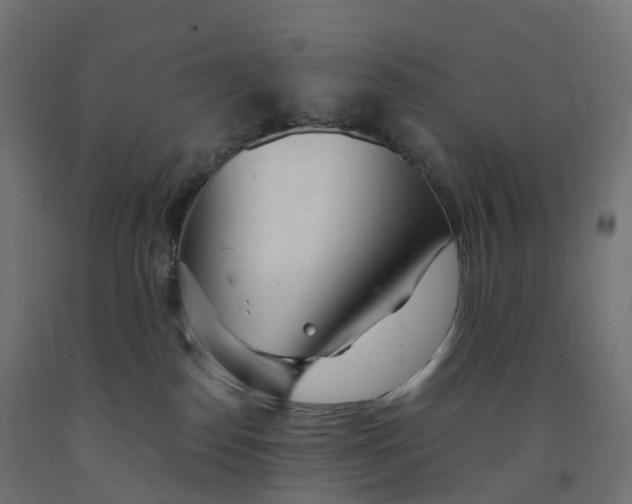 X0000091900186200710031829