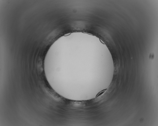 X0000091900187200710031829