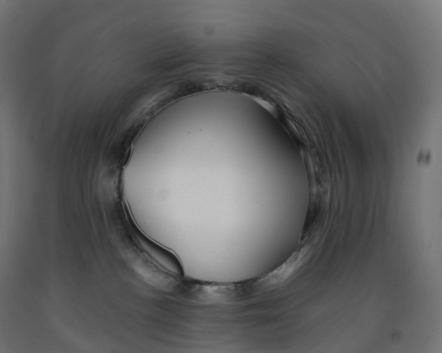 X0000091900188200710031829