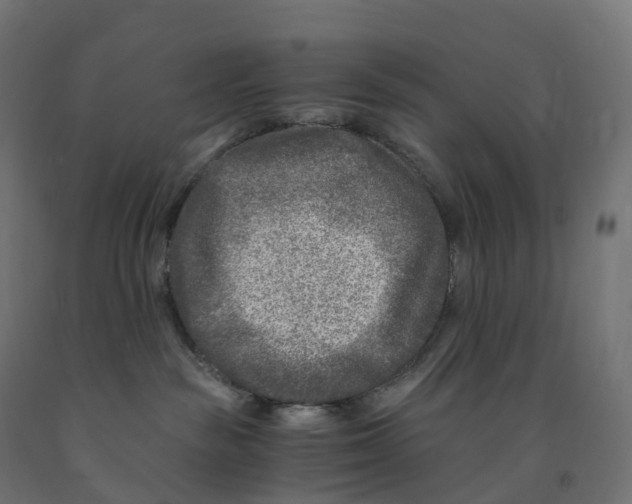 X0000091900189200710031829