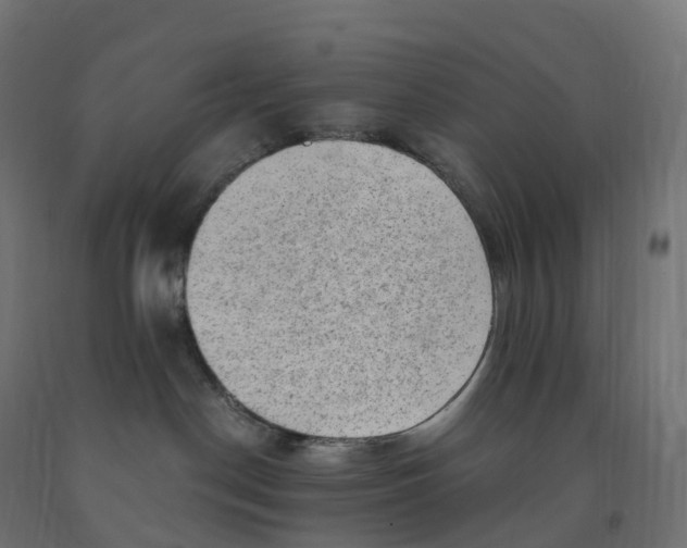 X0000091900190200710031829