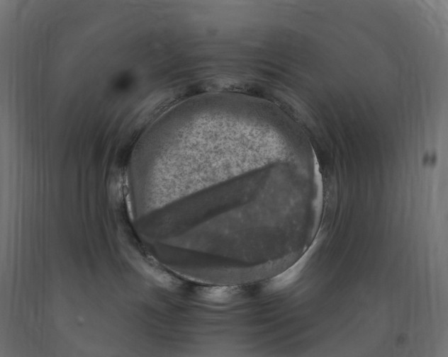 X0000091900191200710031829