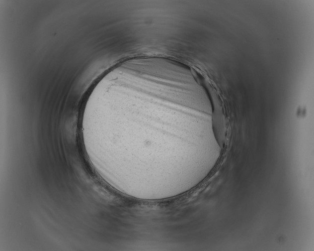 X0000091900194200710031829