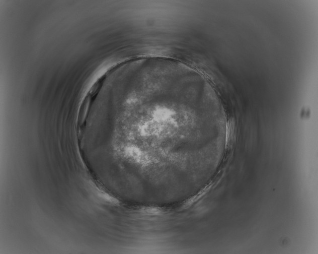 X0000091900195200710031829