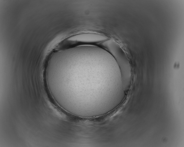 X0000091900197200710031829