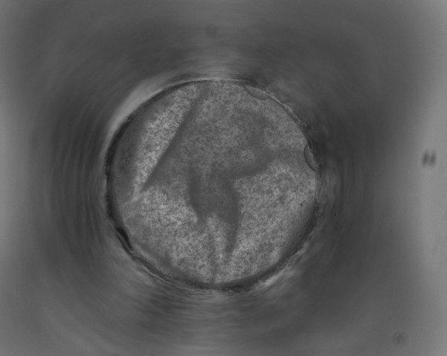 X0000091900198200710031829