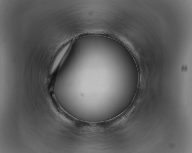 X0000091900201200710031828