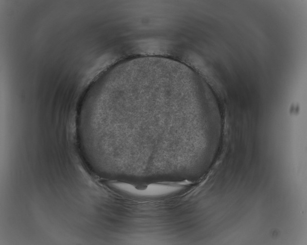 X0000091900202200710031828