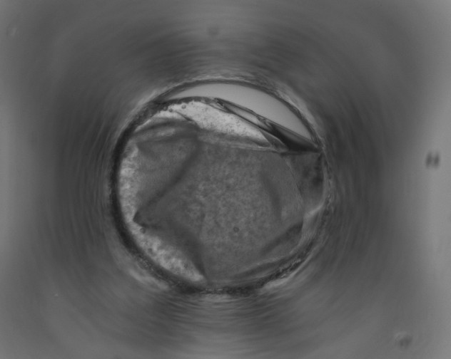 X0000091900203200710031828