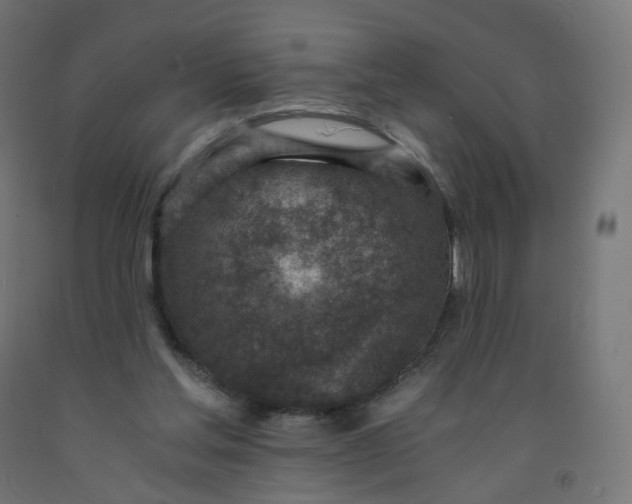 X0000091900205200710031828