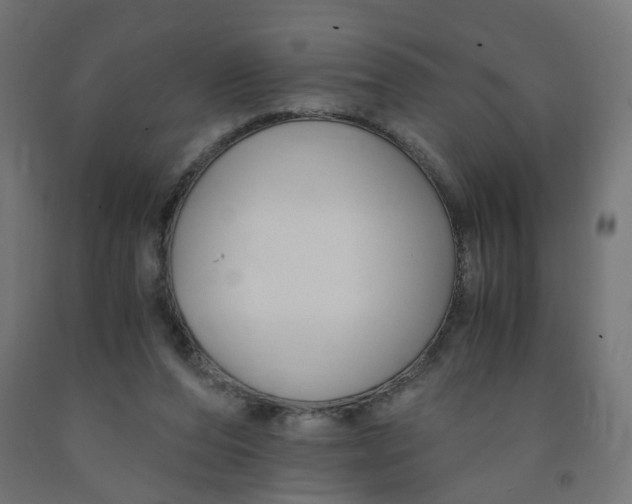 X0000091900208200710031828