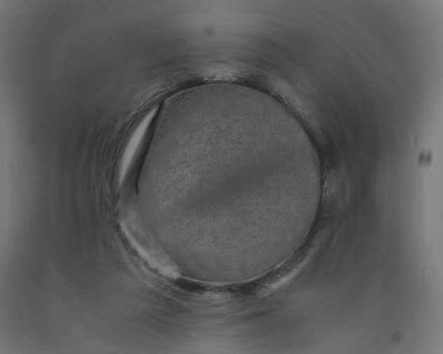 X0000091900209200710031828