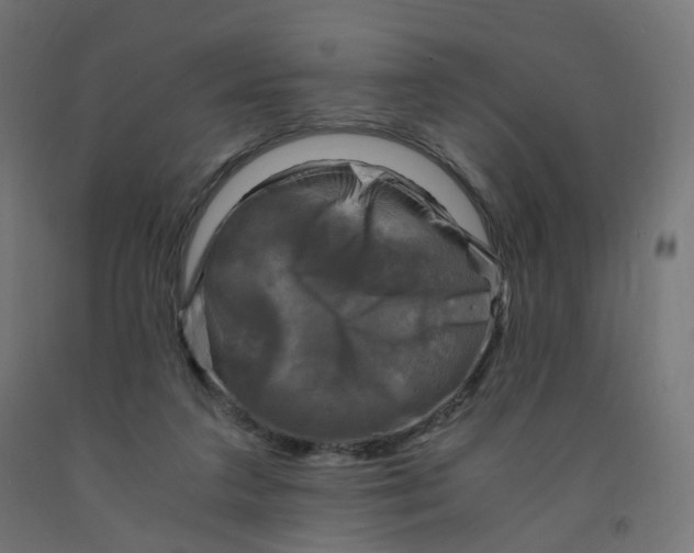 X0000091900211200710031828