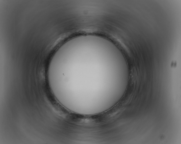 X0000091900212200710031828