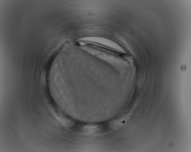 X0000091900213200710031828