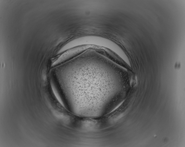 X0000091900215200710031828