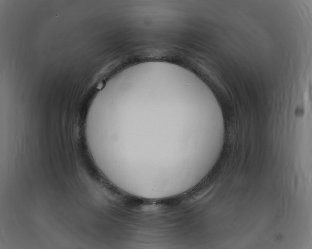 X0000091900216200710031828