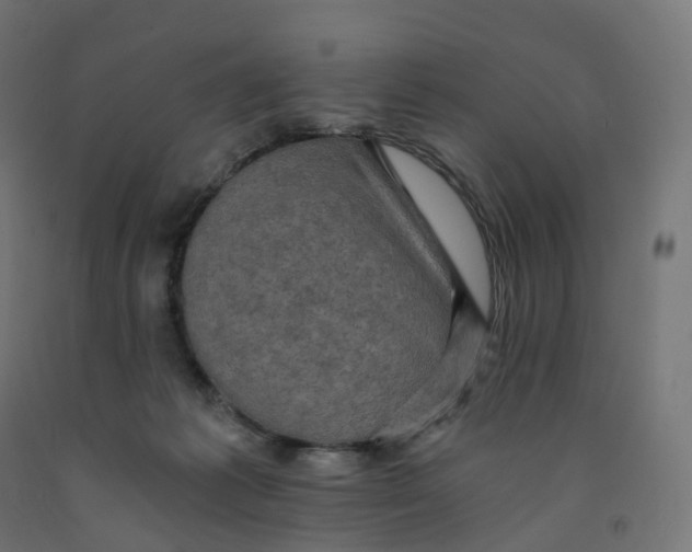 X0000091900221200710031828