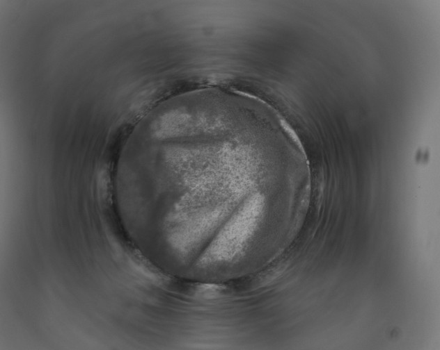 X0000091900222200710031828