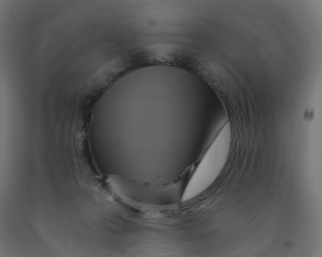 X0000091900223200710031828