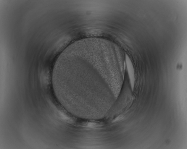 X0000091900224200710031828