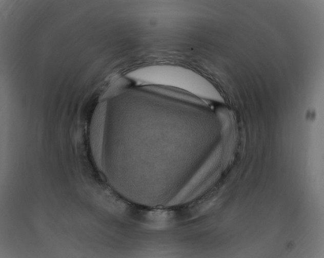 X0000091900225200710031828