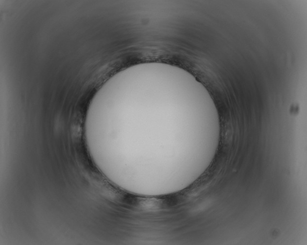 X0000091900226200710031828