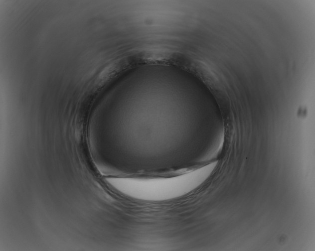 X0000091900227200710031828